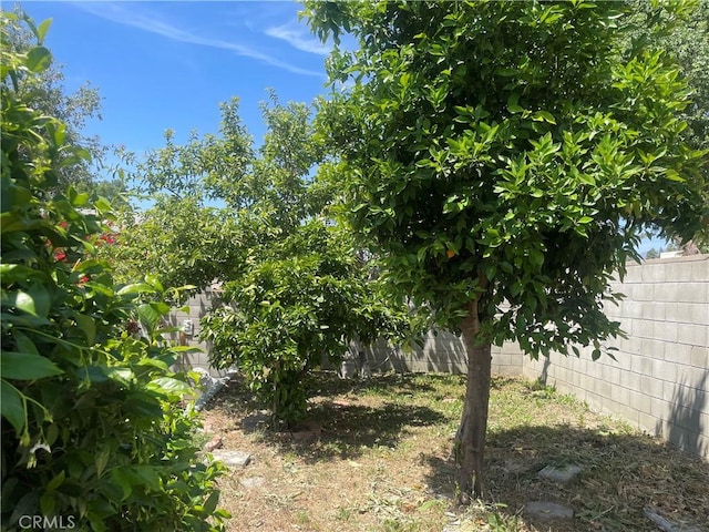 8772 Mignonette St, Rancho Cucamonga, CA 91701 - view of fenced backyard