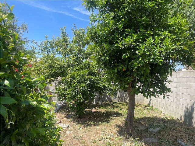8772 Mignonette St, Rancho Cucamonga, CA 91701 - view of fenced backyard