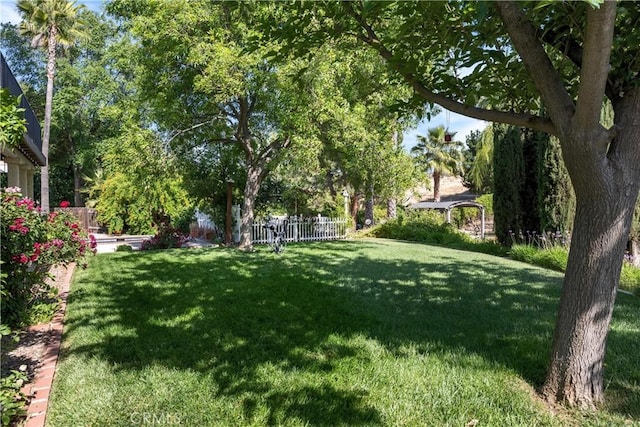 28863 Capano Bay Ct, Menifee, CA 92584 - view of yard