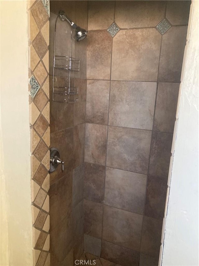 interior details with tiled shower