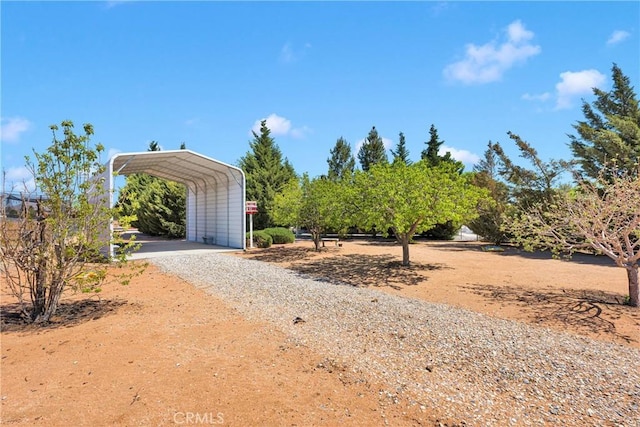 view of yard featuring driveway and a carport