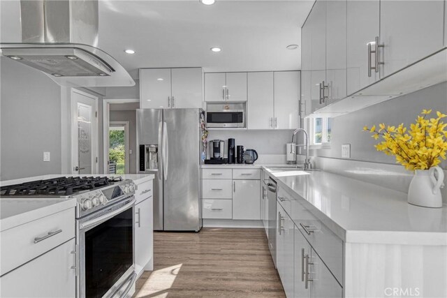 7293 Cirrus Way, West Hills, CA 91307 - kitchen featuring stainless steel appliances, a sink, island range hood, white cabinetry, and light countertops