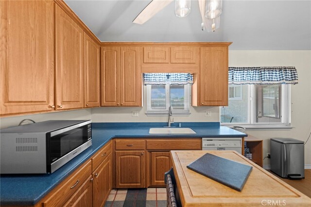 kitchen featuring dishwasher, stainless steel microwave, and a sink