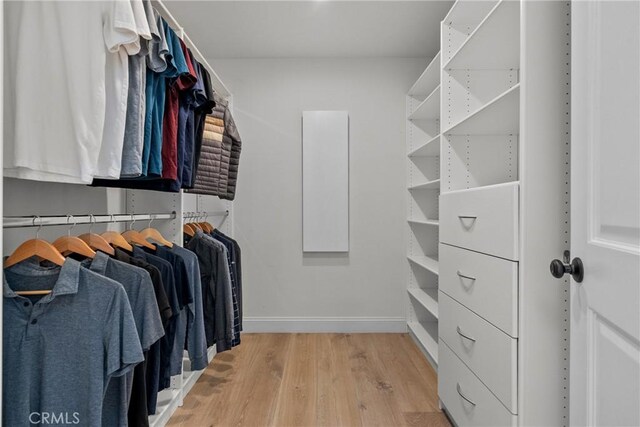 25174 Mulholland Hwy, Calabasas, CA 91302 - spacious closet featuring light wood finished floors