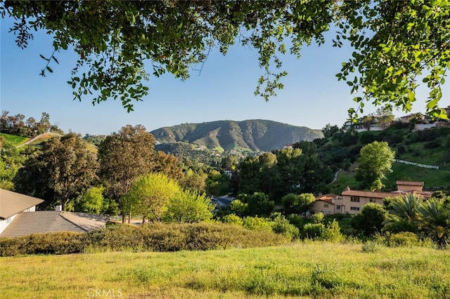 47 Coolwater Rd, Bell Canyon, CA 91307 - photo 40