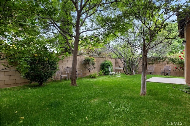 view of yard with a fenced backyard