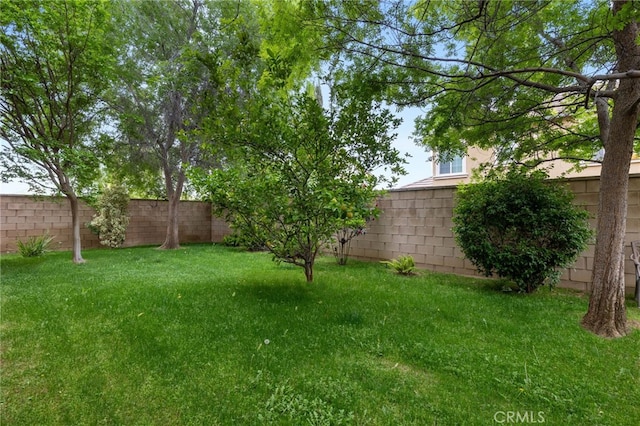 5206 Village Green Ln, Bakersfield, CA 93306 - view of yard