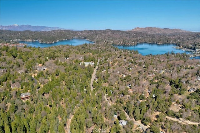 29278 Pine Dr, Cedar Glen, CA 92321 - drone / aerial view of a water and mountain view and a heavily wooded area