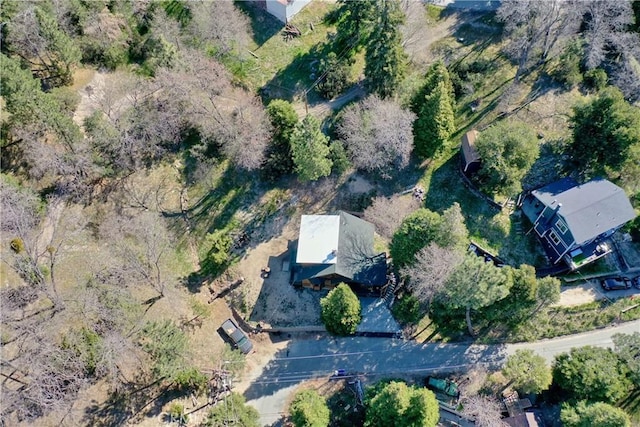 29278 Pine Dr, Cedar Glen, CA 92321 - bird's eye view