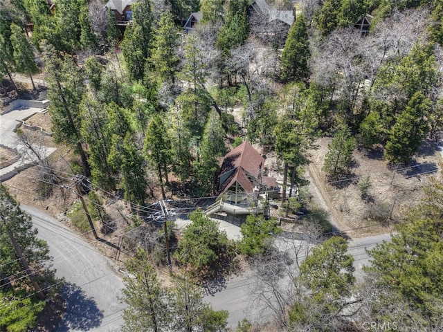 27364 Alpen Dr, Lake Arrowhead, CA 92352 - photo 35