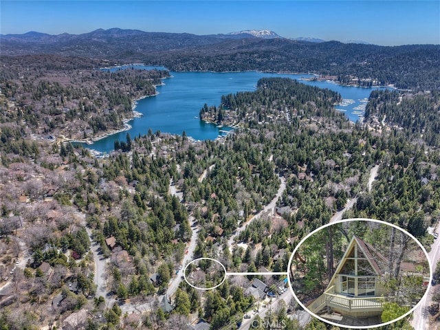 27364 Alpen Dr, Lake Arrowhead, CA 92352 - photo 34