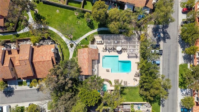 drone / aerial view