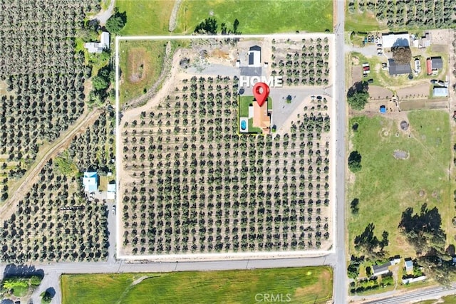 22975 Flournoy Ave, Corning, CA 96021 - bird's eye view