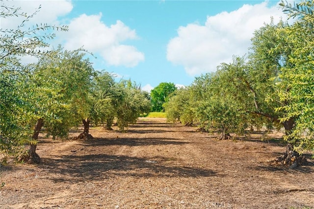 22975 Flournoy Ave, Corning, CA 96021 - view of local wilderness featuring a rural view