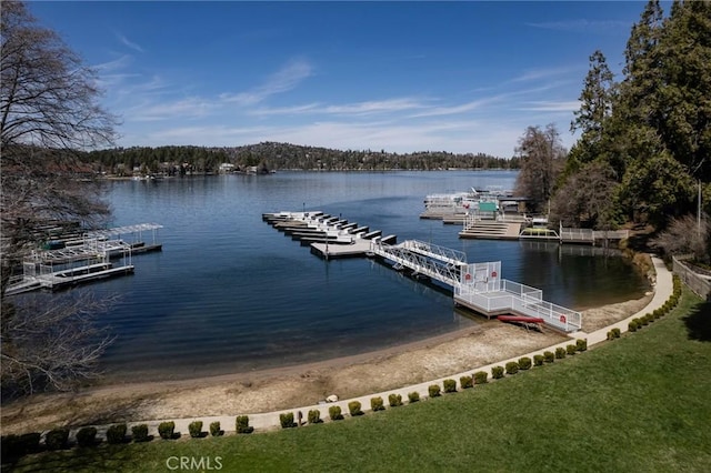 dock area featuring a water view
