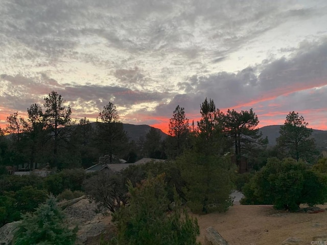 8551 Foothill Blvd, Pine Valley, CA 91962 - view of mountain background