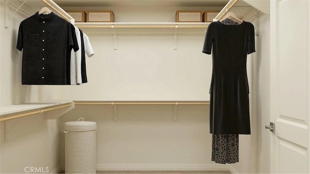 view of walk in closet