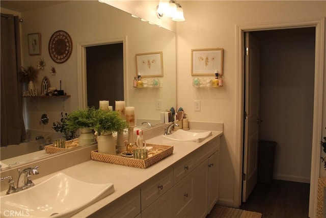 full bathroom featuring wood finished floors, a sink, and double vanity