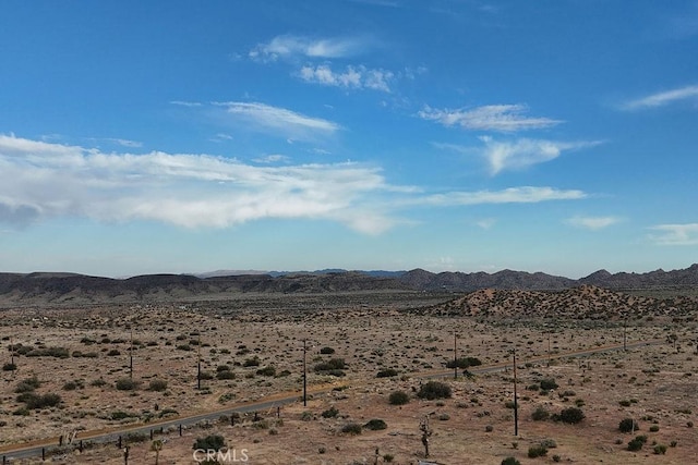 2995 Ox Yoke, Pioneertown, CA 92268 - photo 19