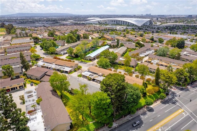 drone / aerial view