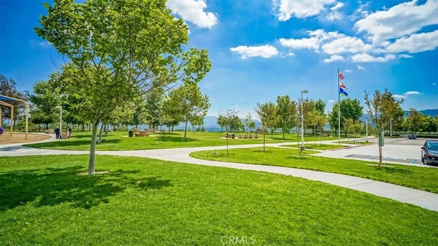 view of community featuring a lawn