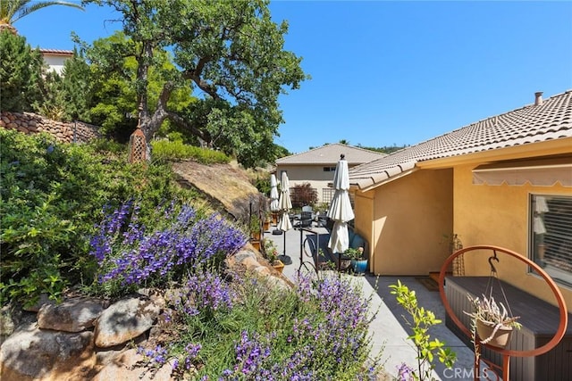 view of yard featuring a patio