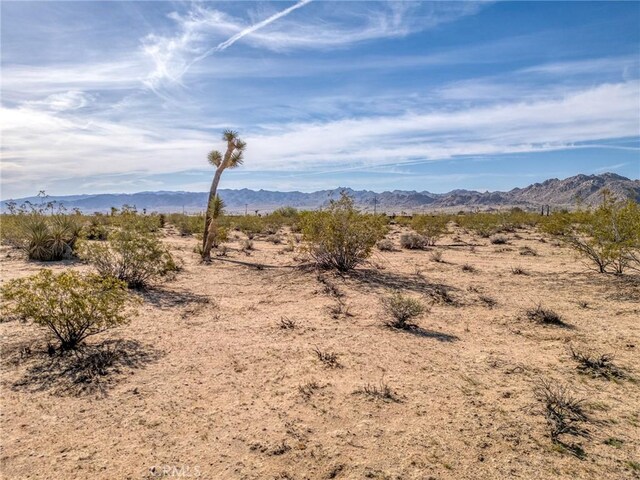 62730 Hacienda Rd, Joshua Tree, CA 92252 - photo 35