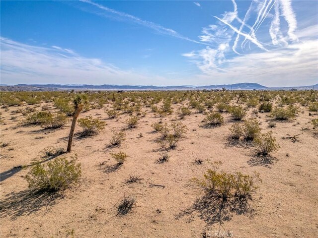 62730 Hacienda Rd, Joshua Tree, CA 92252 - photo 39