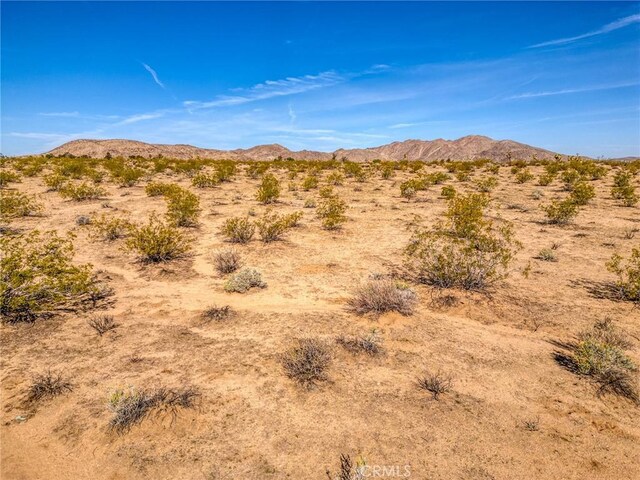 62730 Hacienda Rd, Joshua Tree, CA 92252 - photo 40