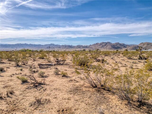 62730 Hacienda Rd, Joshua Tree, CA 92252 - photo 36
