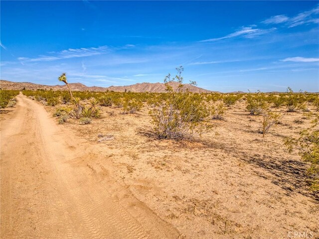 62730 Hacienda Rd, Joshua Tree, CA 92252 - photo 41