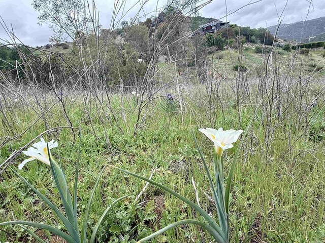 0 Alex Rd, Fallbrook, CA 92028