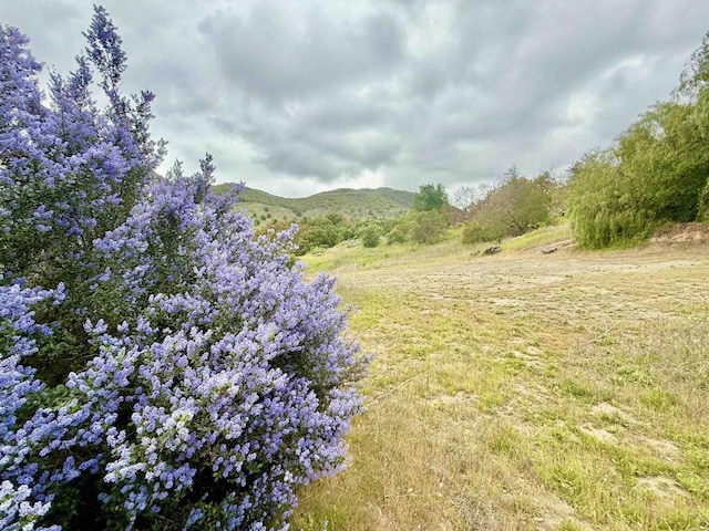 0 Alex Rd, Fallbrook, CA 92028