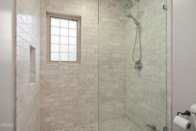 bathroom with toilet and a stall shower