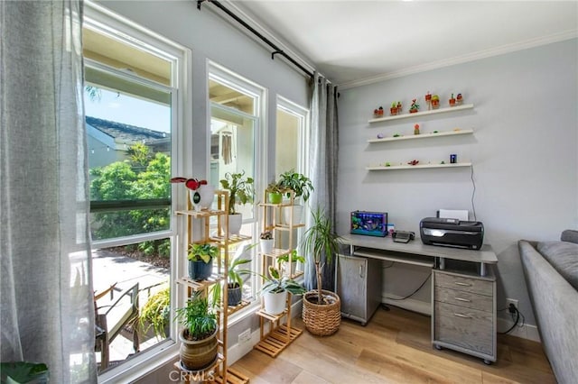 home office featuring light wood-type flooring, crown molding, and a healthy amount of sunlight