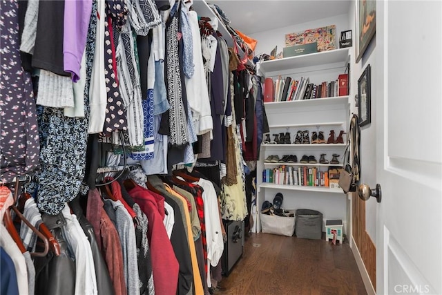 walk in closet featuring wood finished floors