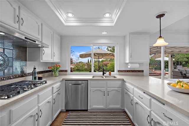 kitchen featuring crown molding, a sink, a tray ceiling, appliances with stainless steel finishes, and recessed lighting