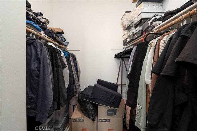 6651 Darling Ln, San Bernardino, CA 92407 - view of walk in closet