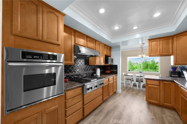 kitchen with light wood finished floors, under cabinet range hood, stainless steel appliances, a raised ceiling, and ornamental molding
