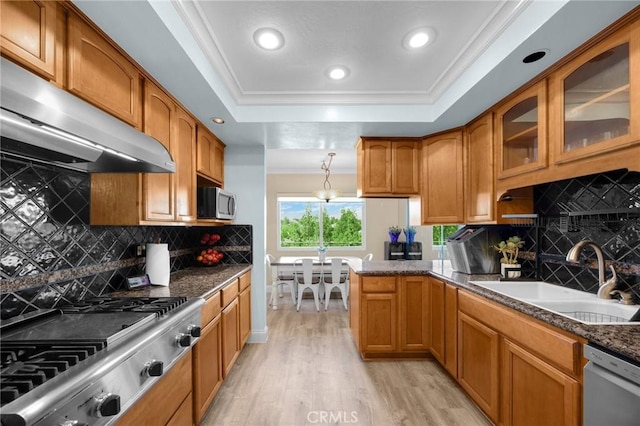 kitchen with a sink, under cabinet range hood, a tray ceiling, appliances with stainless steel finishes, and ornamental molding