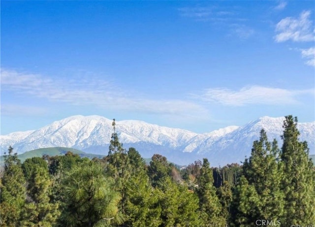 view of mountain feature with a view of trees