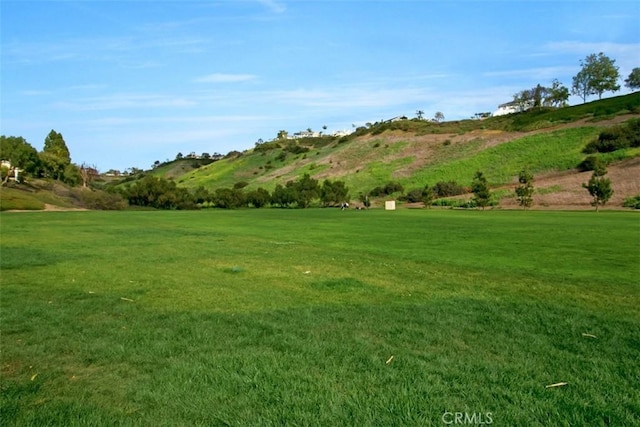 23 Pemberton Pl Unit 121, Laguna Niguel, CA 92677 - view of yard