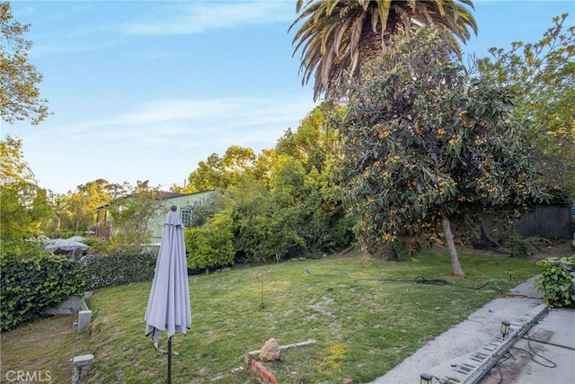 view of yard