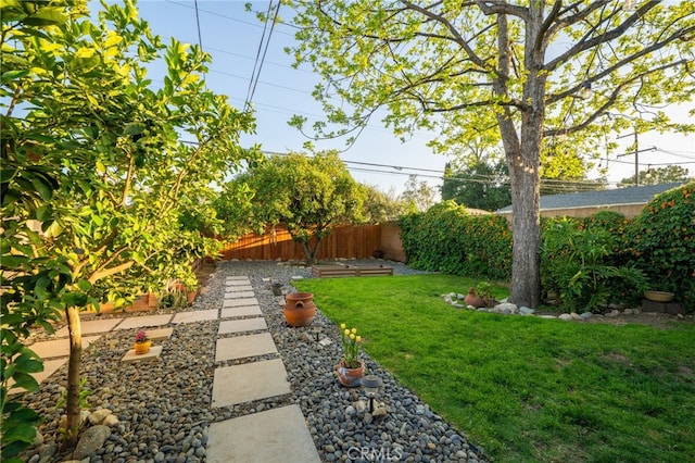 view of yard with a fenced backyard