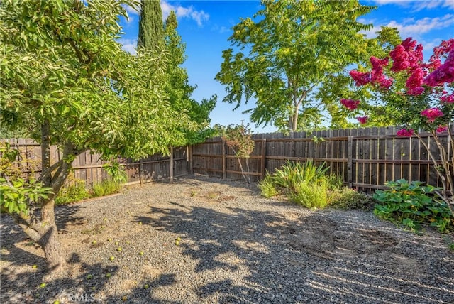 4032 Gray Stone Ct, Kelseyville, CA 95451 - view of yard featuring a fenced backyard