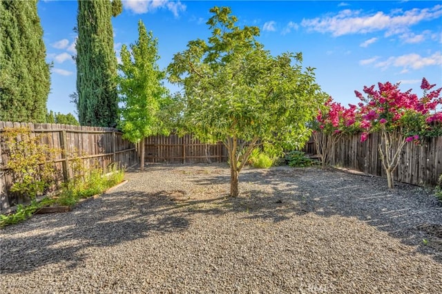 4032 Gray Stone Ct, Kelseyville, CA 95451 - view of yard featuring a fenced backyard