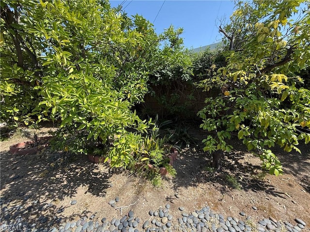 1711 S Washington Ave, Glendora, CA 91740 - view of nature