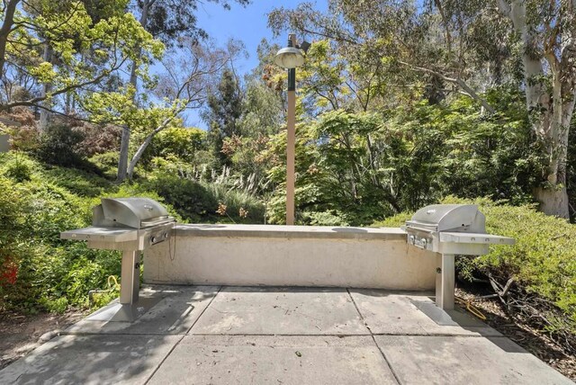 9725 Mesa Springs Way Unit 176, San Diego, CA 92126 - view of patio with an outdoor kitchen