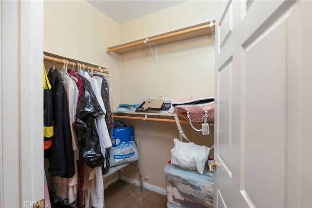 walk in closet with carpet floors