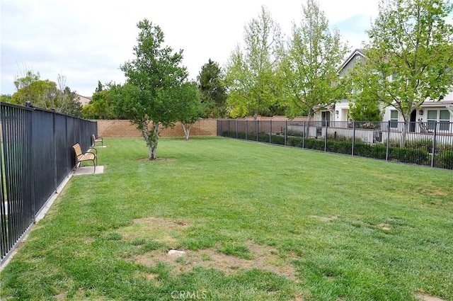 view of yard